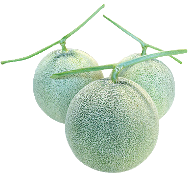 Melon - Cantaloupe (400x361), Png Download