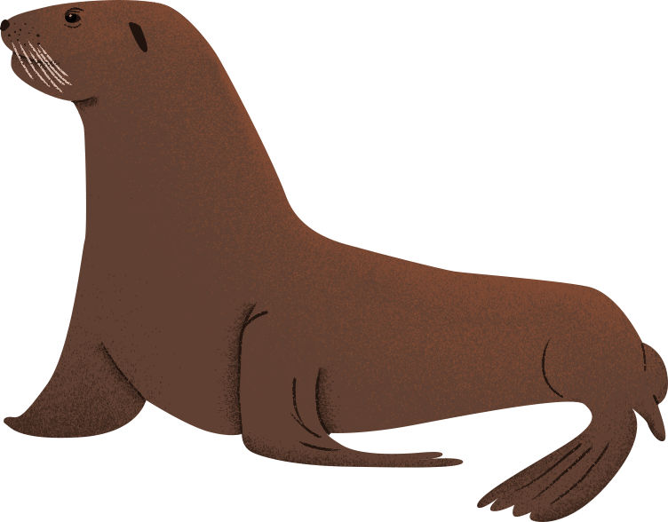 Sea-lion - Lion (752x588), Png Download