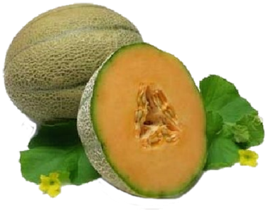 Cantaloupe Ort - Muskmelon Images Hd (450x357), Png Download