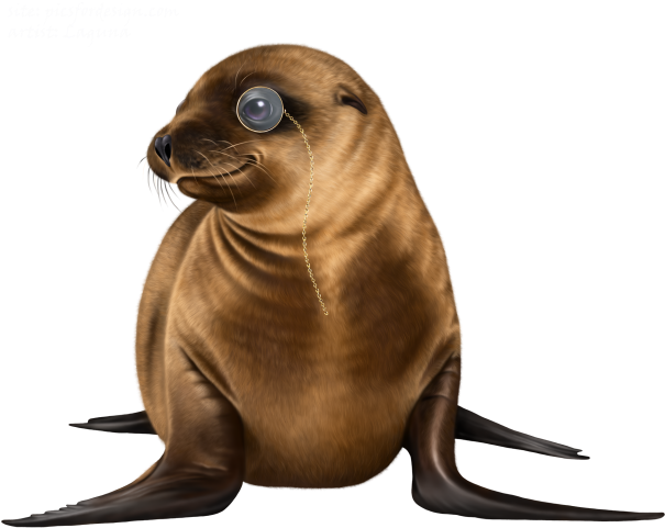 Steampunk Merma - California Sea Lion (640x640), Png Download