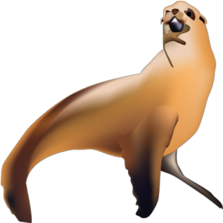 Sea Lion - California Sea Lion (352x352), Png Download