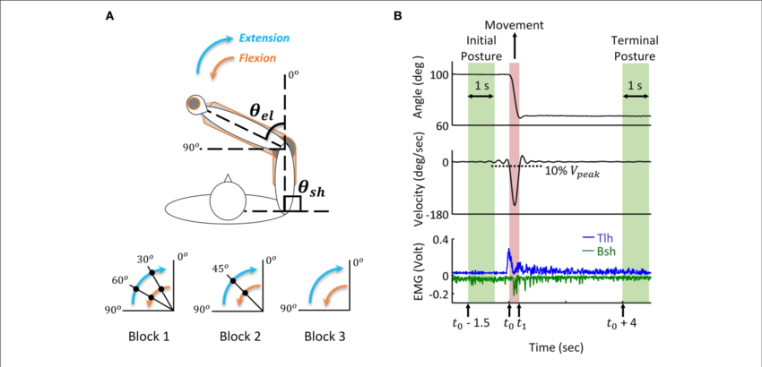 Human Reach And Hold Experiments, And Analysis Of Kinematic - Human (850x410), Png Download