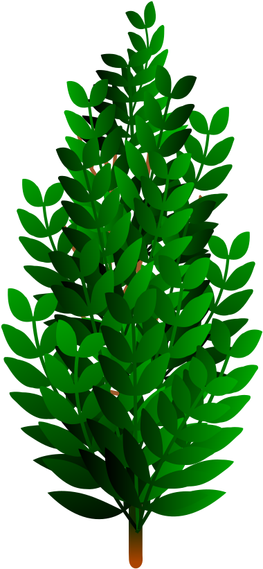 Leaf Plants Transpiration Plant Stem Shrub - Transpiration Clip (530x750), Png Download