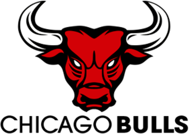 Chicago Bulls Wallpapers Hd - Emblem (1600x1200), Png Download
