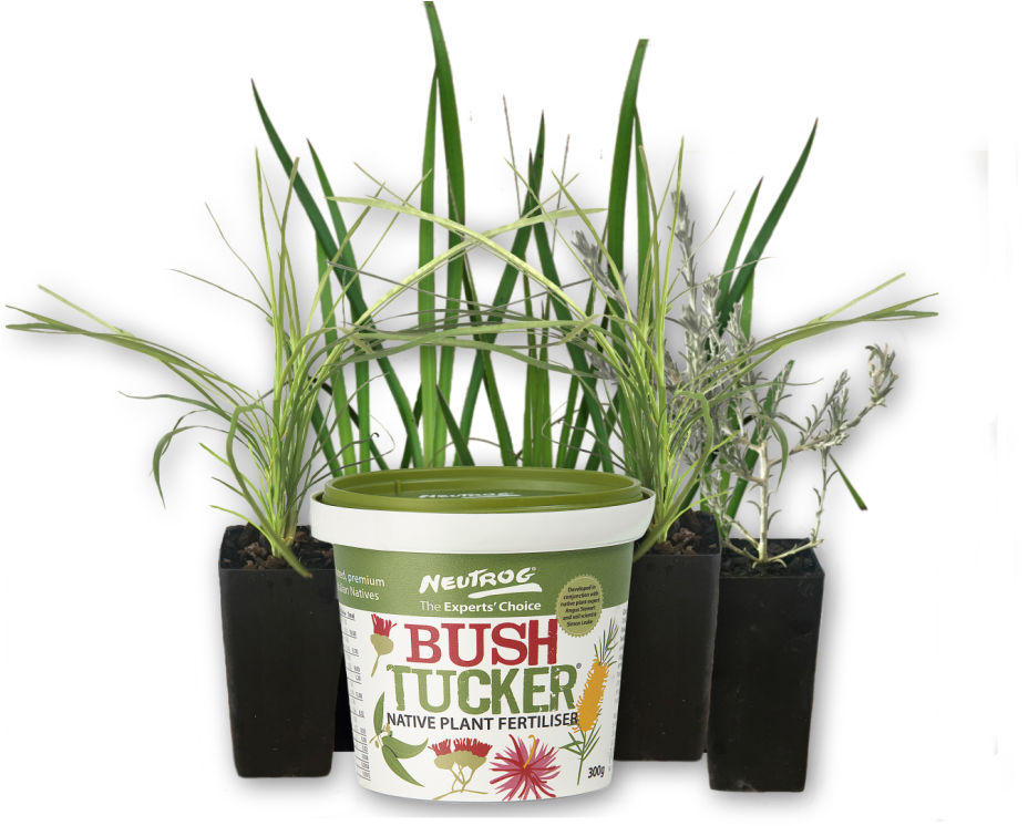 Free Bush Tucker With Plants - Sales (1024x768), Png Download
