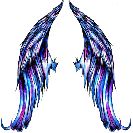 Tribal Angel Wings Png Download - Angel Wings Drawing Color (450x449), Png Download