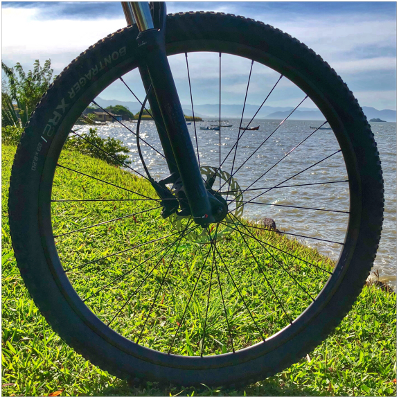 Bicycle (480x480), Png Download
