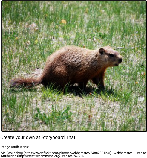Groundhog - Winter (515x558), Png Download