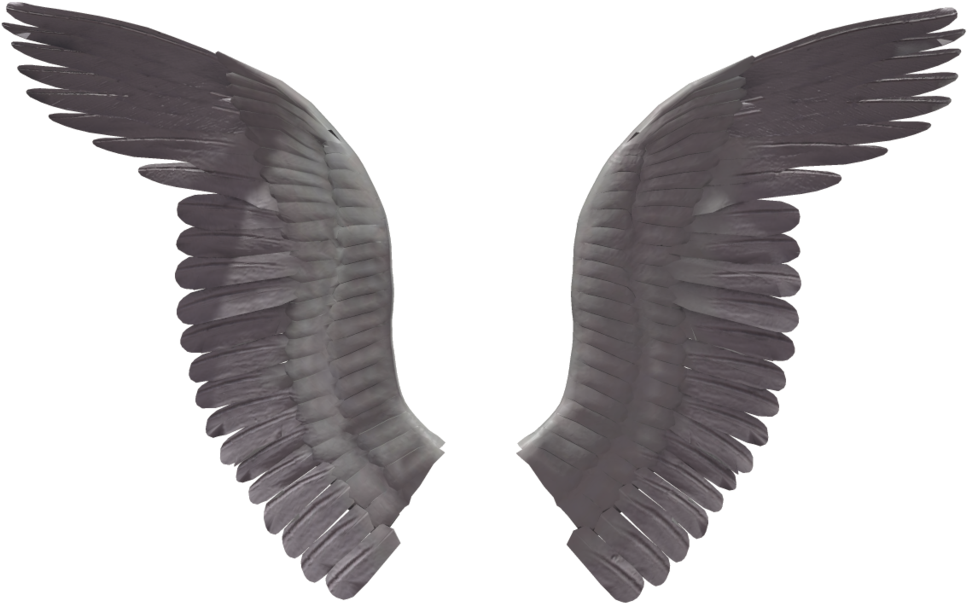 Wings Png Images Free Download - Transparent Real Wings (1024x639), Png Download