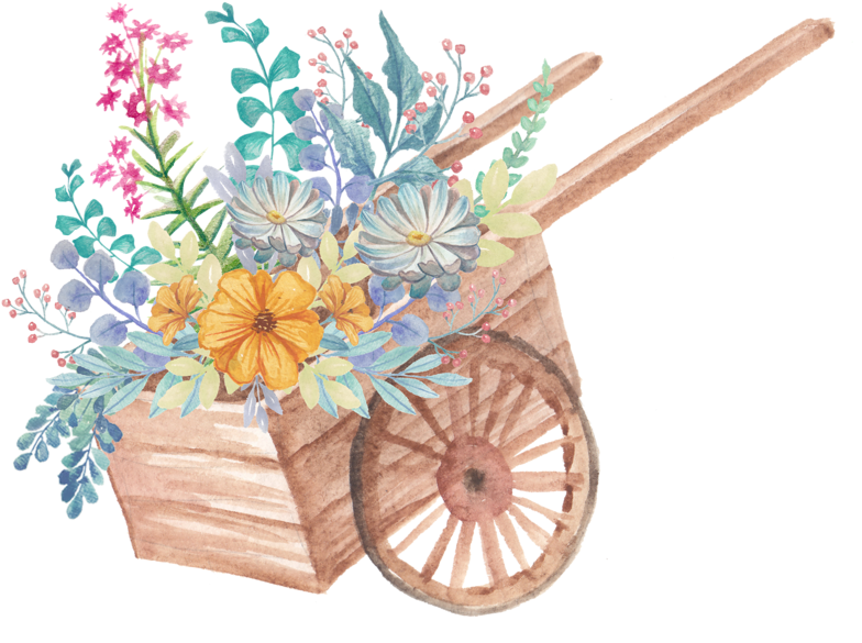 Image Du Blog Zezete2 - Flower (800x800), Png Download