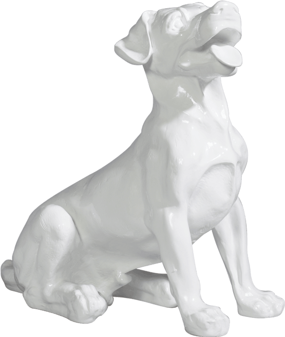 Image Description - Labrador Retriever (650x900), Png Download