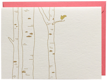 Birch Trees Boxed Greeting Cards - Birch (498x498), Png Download
