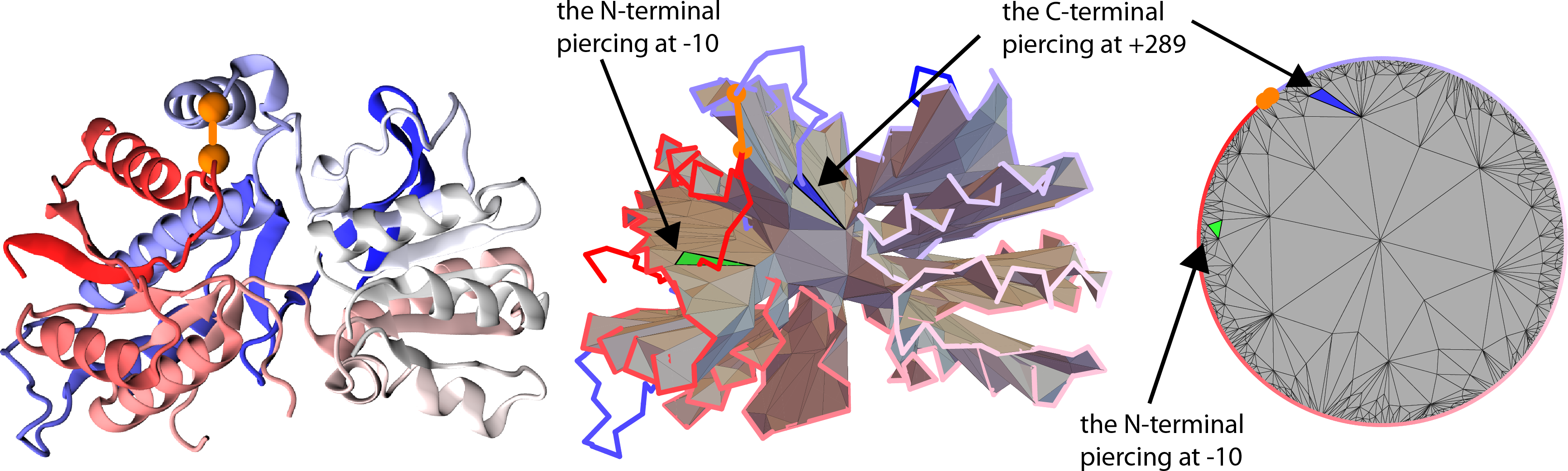1 Glutamate Receptor With Pdb Code 3om0 In Its Cartoon - Graphic Design (3463x1041), Png Download