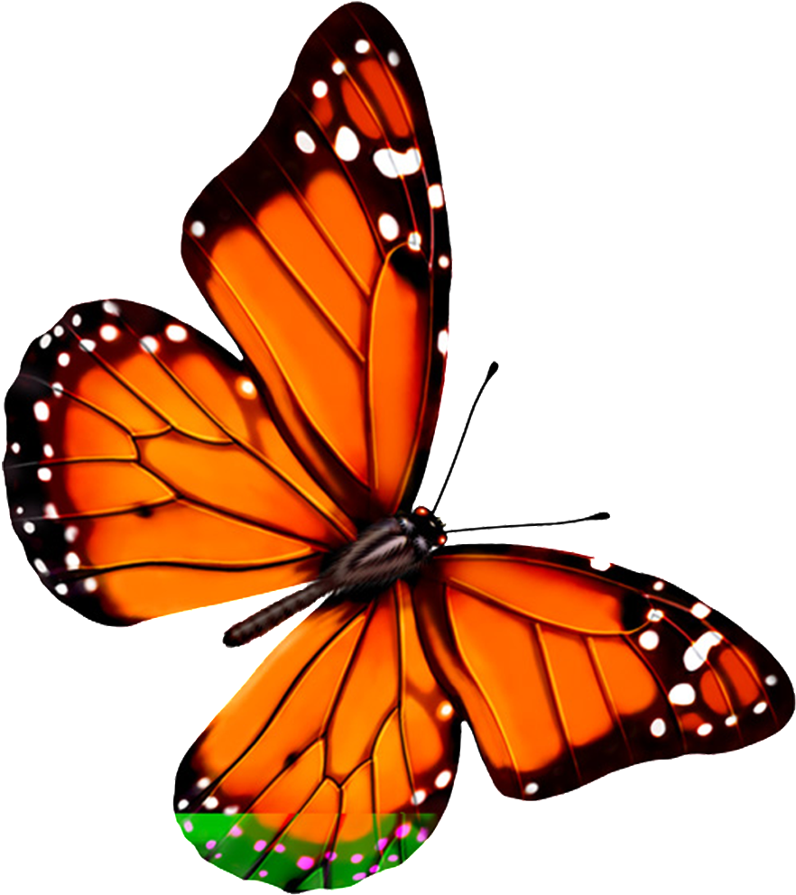 Hd Beautiful Colorful Butterfly Png - Florals Solar Pink Butterfly, Dual (solar / Battery) (1024x1024), Png Download