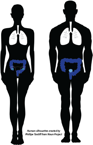 23 Jun - Illustration (669x654), Png Download