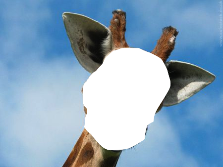 You Can Also Make Funny Pictures Like Cutting Out Someones - Giraffe With Down Syndrome (450x338), Png Download