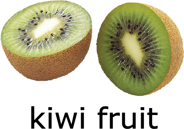 Download Png File 📥 - Kiwi Fruit Picture With Name (640x480), Png Download
