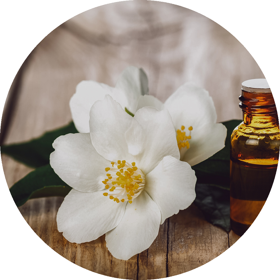 Jasmine Oil (977x977), Png Download