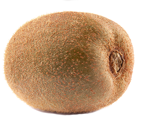 Kiwi (531x800), Png Download