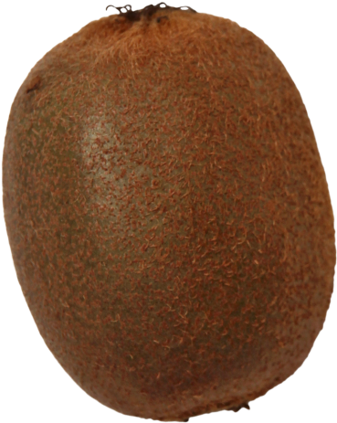 Kiwi - Kiwifruit (866x650), Png Download