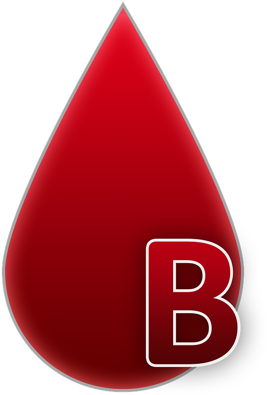 Blood Group,b,blood,a Drop Of Blood,blood Donation,free - Krvná Skupina (905x1280), Png Download