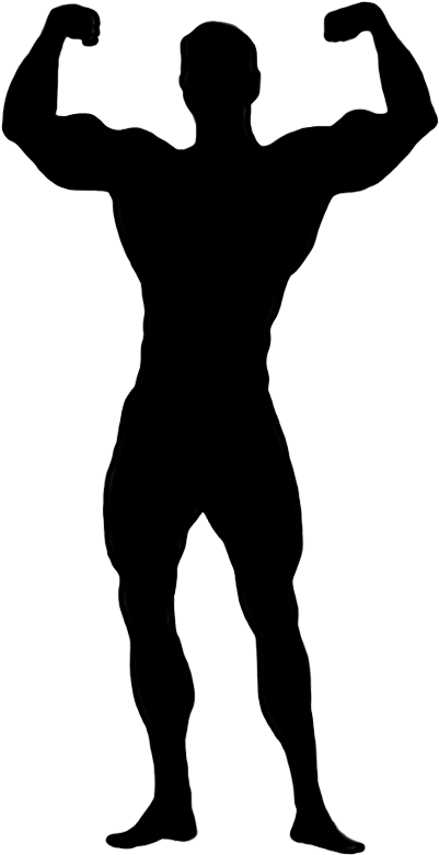 Female Bodybuilding Clip Art - Man Silhouette Bodybuilder (470x915), Png Download