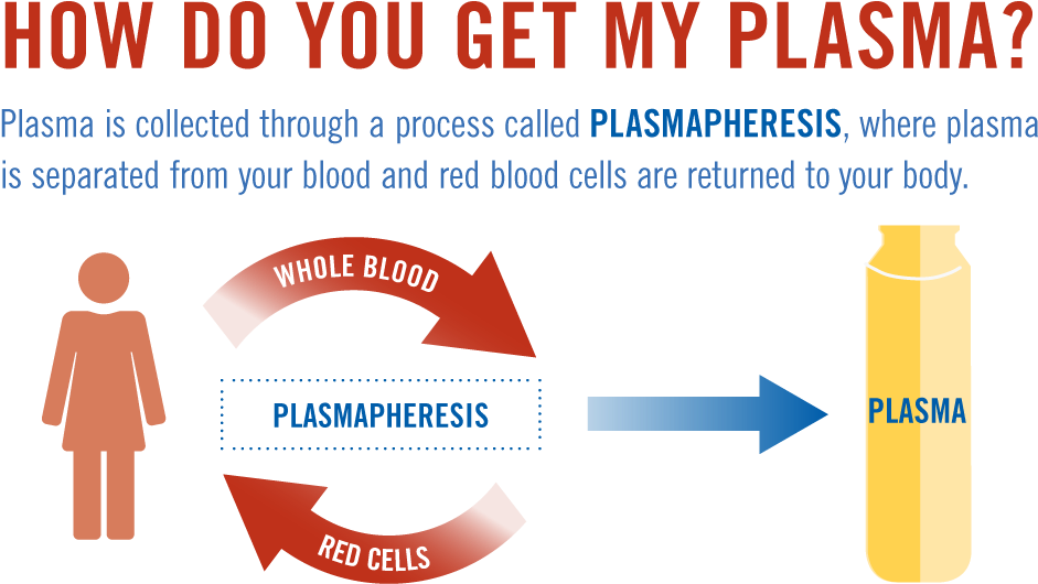 About Plasma Donations - Blood Donation Compensation (960x584), Png Download