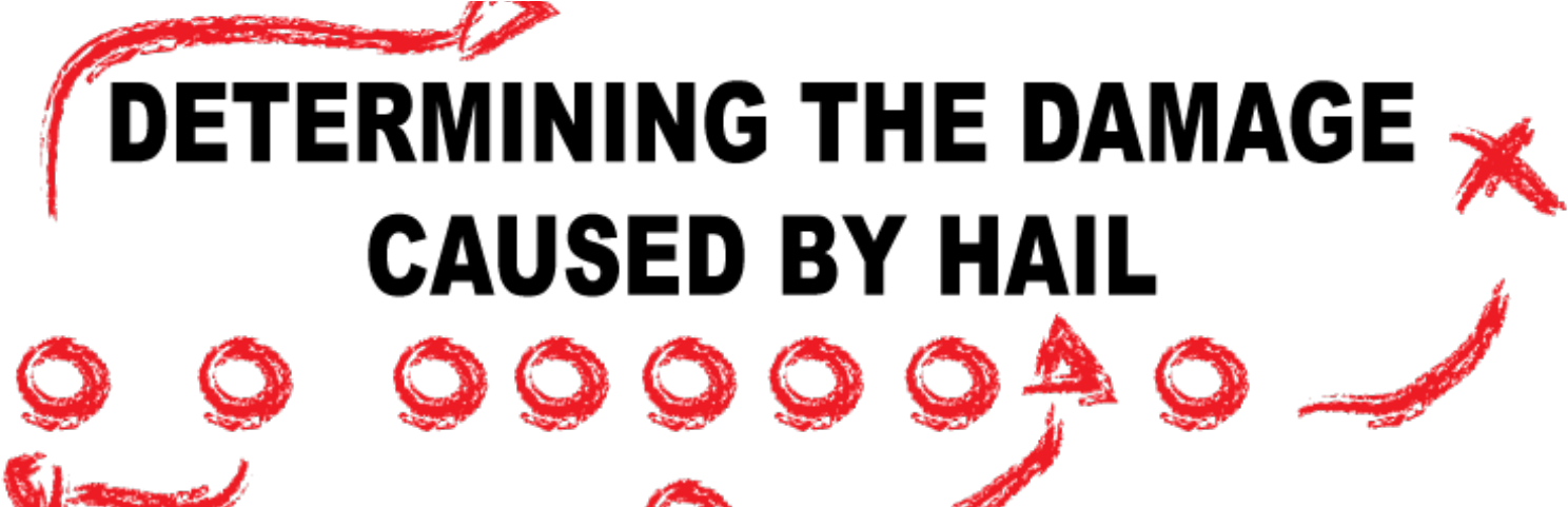 Determining The Damage Caused By Hail - Circle (1600x480), Png Download