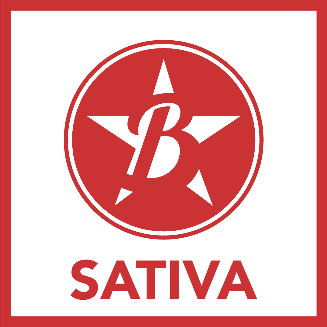 Buddy Boy Walnut Rino - Buddyboy (1080x1080), Png Download