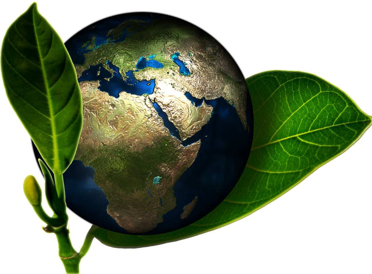 Environmental Science Png (1200x960), Png Download