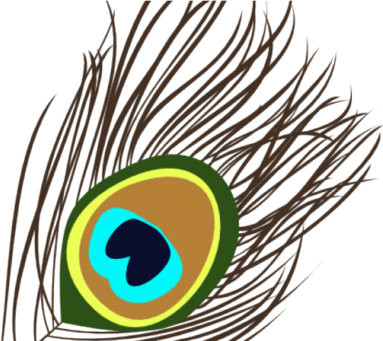 Peacock Clipart Peacock Tail - Peacock Feather Png Vector (640x480), Png Download