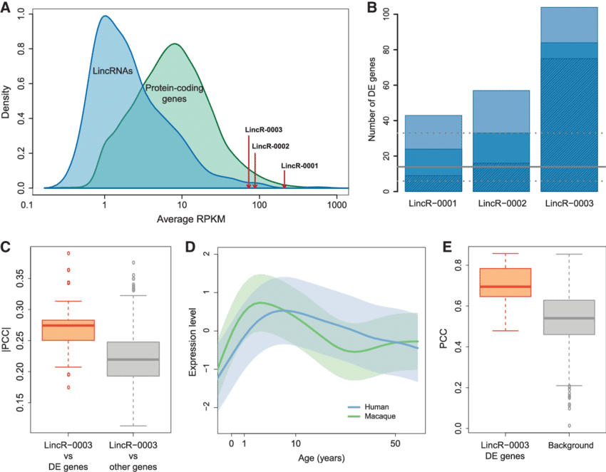 Expression Level Distributions Of Protein Coding Genes - Diagram (850x662), Png Download