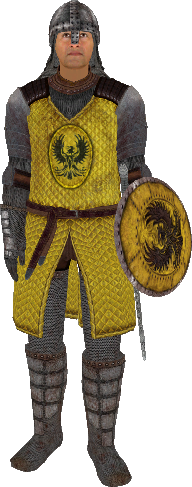 View Samegoogleiqdbsaucenao Brumaguard , - Oblivion Chorrol Guard (558x986), Png Download