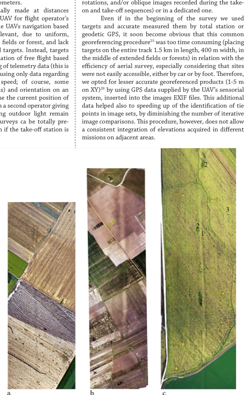 Examples Of Aerial Field Marks For The Limes Transalutanus - Canoe Birch (850x1375), Png Download