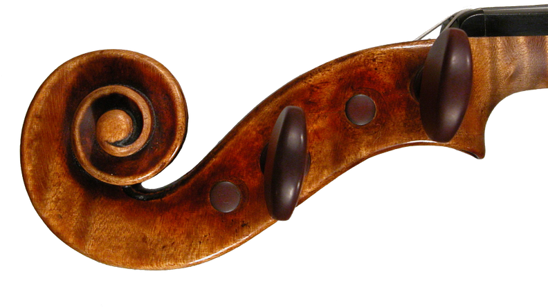 Enhance Your Sound With An Instrument From Stamell - Violin (800x476), Png Download