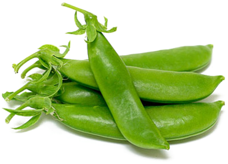 Pea Png Picture - Bibit Kacang Kapri (800x800), Png Download