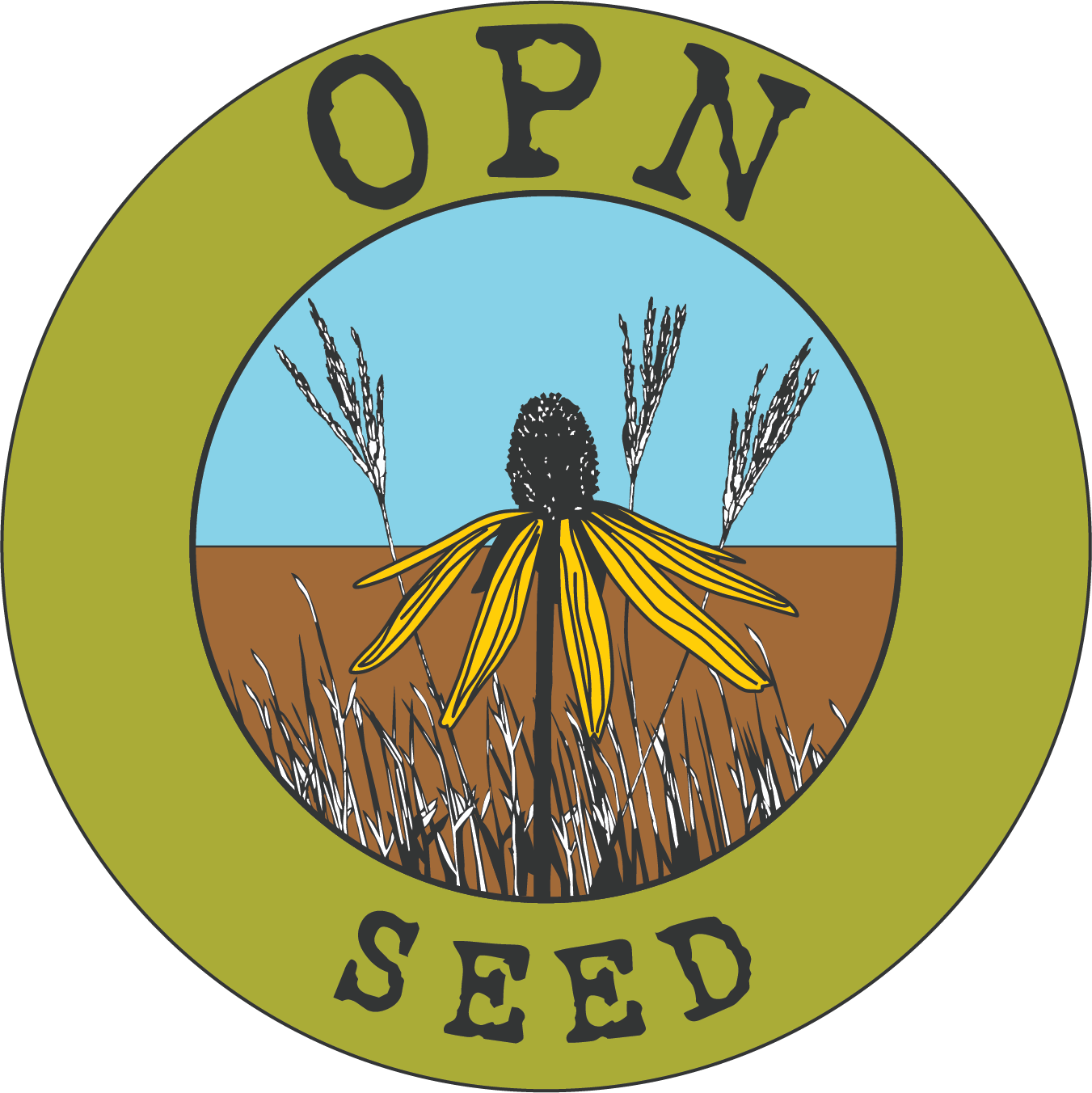 Opn Seed (1351x1352), Png Download