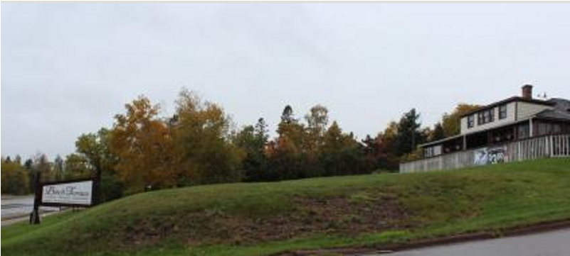 Local Restaurant Still Past Due On County Loan - Tree (800x600), Png Download