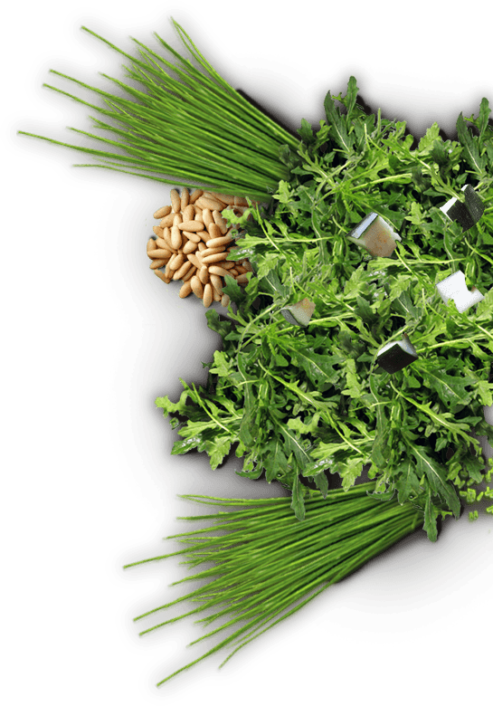 We Serve Fresh Quality Baked Potatoes - Coriander (545x780), Png Download