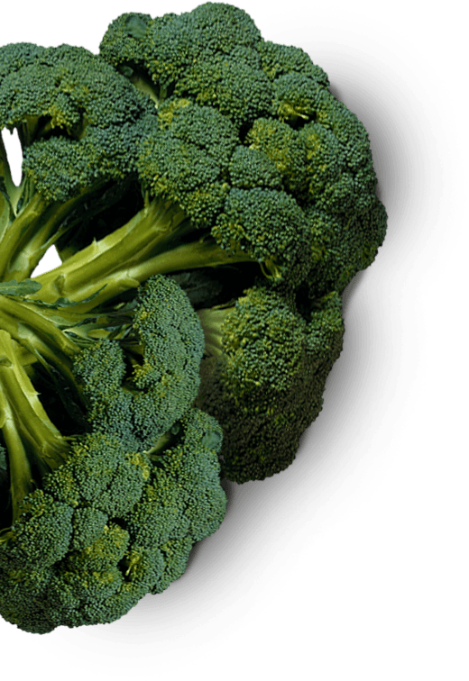 A Jacketz - Broccoli (520x756), Png Download