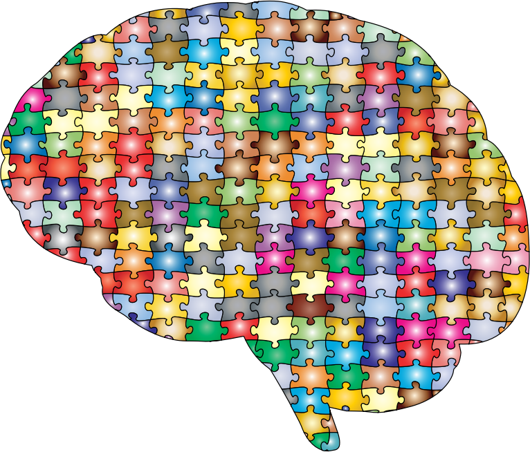 Medium Image - Brain Jigsaw (766x654), Png Download
