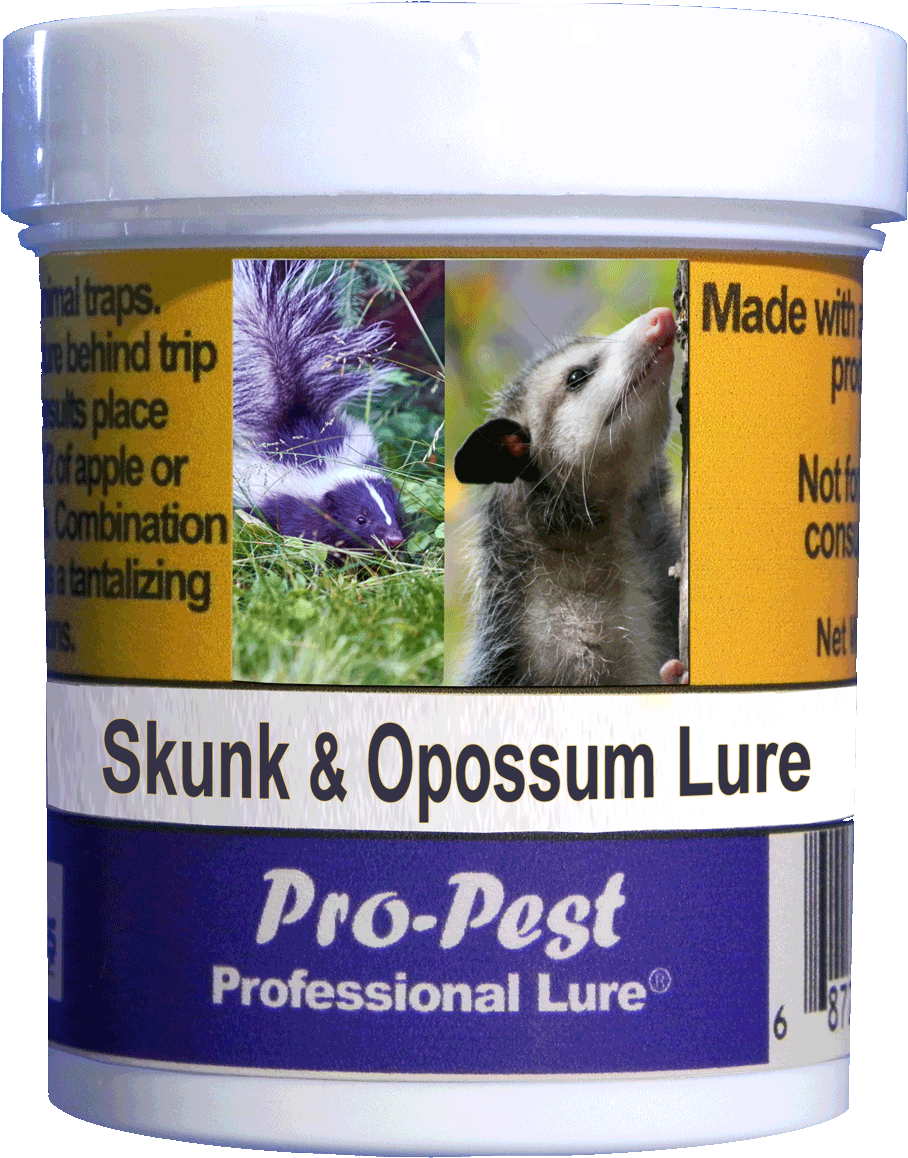 Pro-pest Skunk & Opossum - Skunk (1200x1200), Png Download
