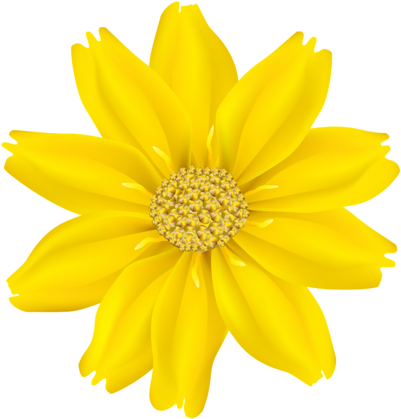 Art Images, Vanilla, Clip Art, Art Pictures, Illustrations - Png Yellow Flowers (582x600), Png Download