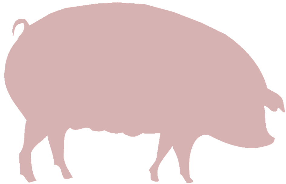 Farm, Farming, Animals, Agriculture, Rural, Pig, Hog - Animal Agriculture Png (960x720), Png Download
