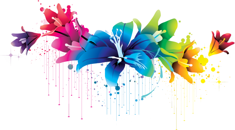 Colorful Flowers Png Image - Colorful Floral Design Png (800x443), Png Download