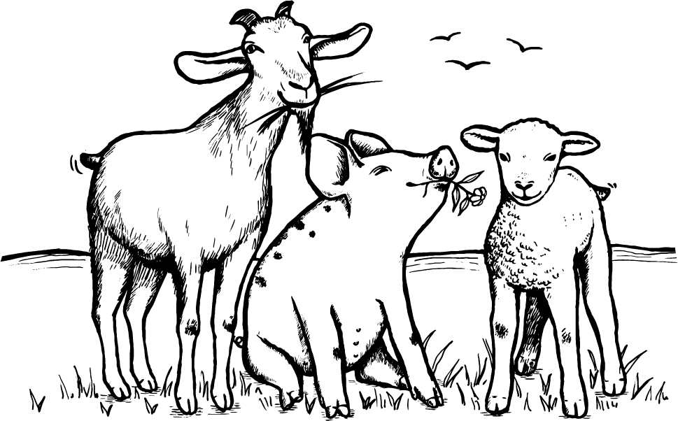 Working Animal (969x602), Png Download