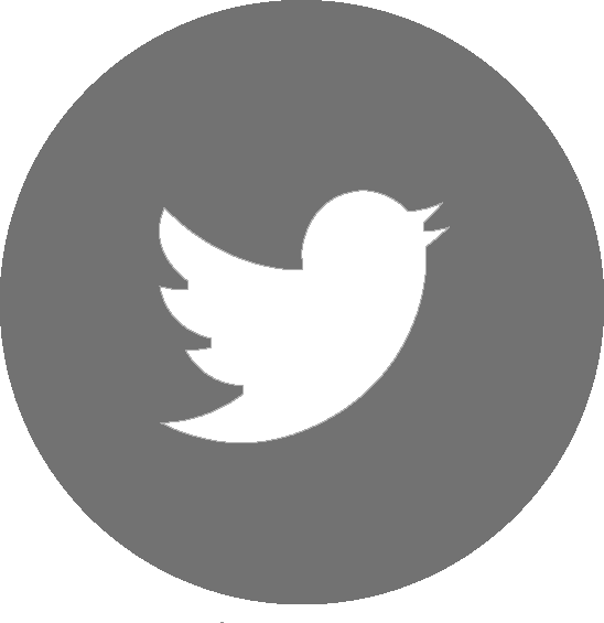 Twitter - Blue Twitter Icon Png (548x565), Png Download
