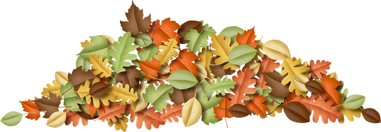 Fall Leaves - Maple Leaf (1280x446), Png Download
