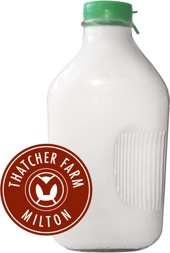1/2 Gallon Fat Free - Thatcher Farm Egg Nog (900x900), Png Download
