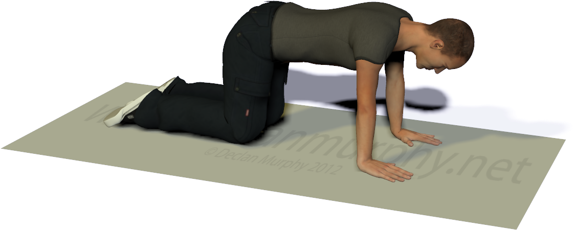 What To Do - Bird Dog Exercise Arms Only (1131x816), Png Download